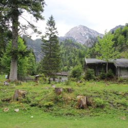 Familienwanderung im Chiemgau zur Schwarzachenalm