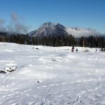 Naturrodelbahn oder Winterwandern in Reit im Winkl