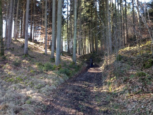 Wanderung mit dem Kinderwagen in Glonn