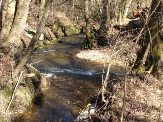 Wanderung mit dem Kinderwagen in Glonn