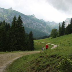 Familien-Wanderung zur Kirchsteinhütte