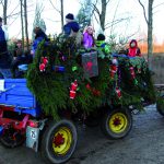 Christbaum schlagen rund um München