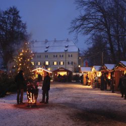 Christbaum schlagen rund um München