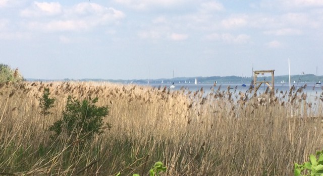 Dampferfahrt auf dem Ammersee und Seespaziergang