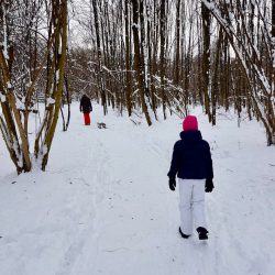 Die Aubinger Lohe - Rodelspaß für Groß und Klein