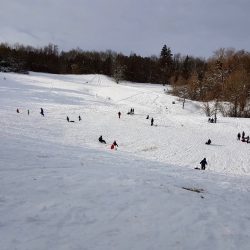 Die Aubinger Lohe - Rodelspaß für Groß und Klein