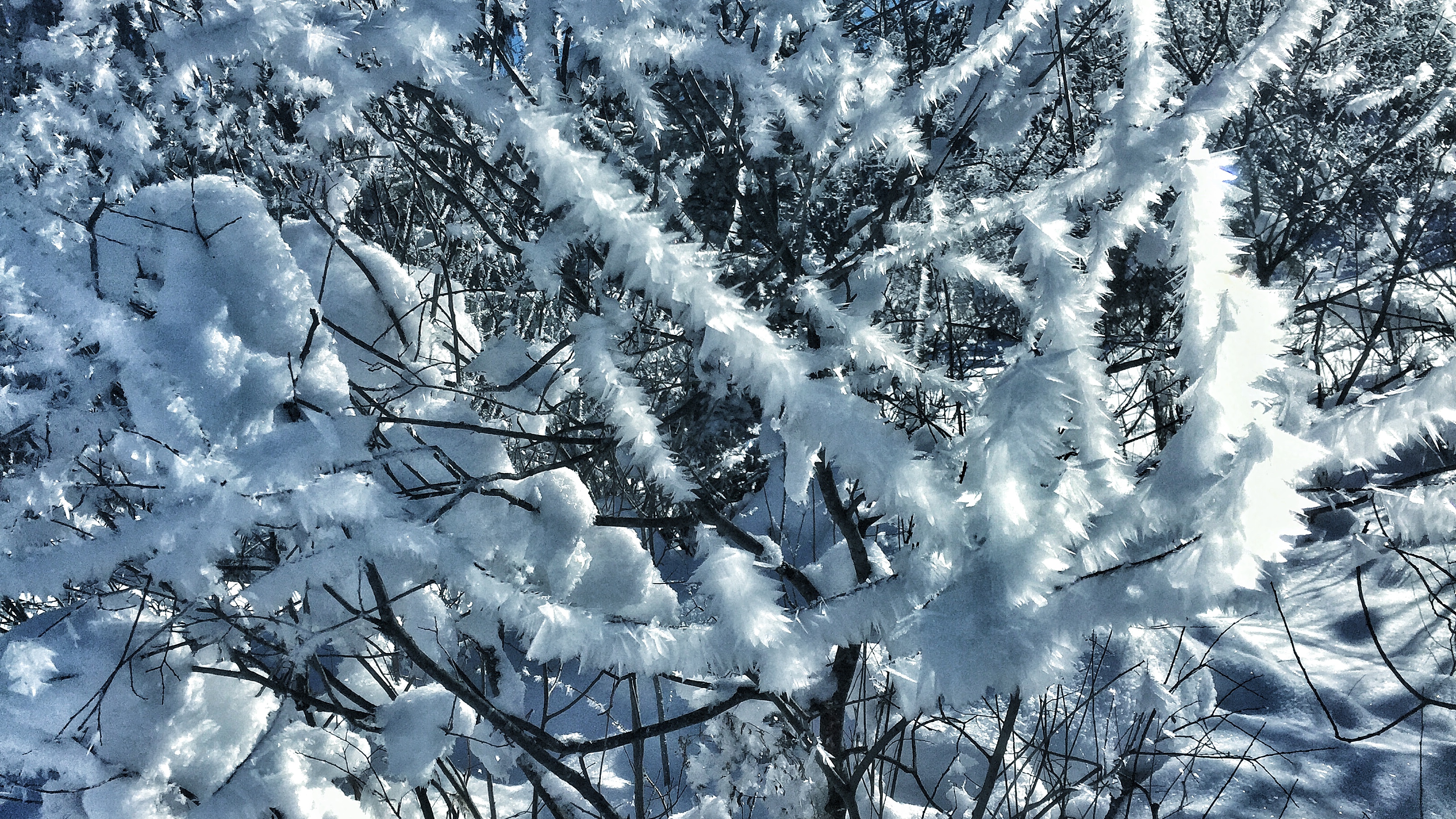 Winterwanderung Kinder Schnee