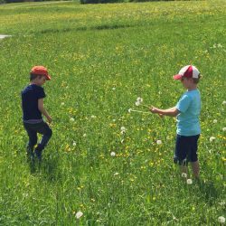 Kinder beim Blumen pflücken Wanderausflug Kinder