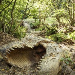 Dinosaurierpark Altmühltal