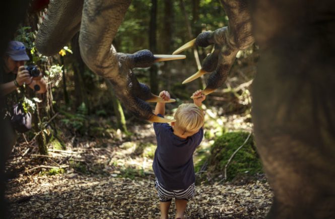 Dinosaurierpark Altmühltal