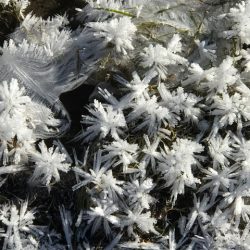 Winter mit Kindern in München