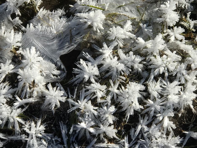 Winter mit Kindern in München