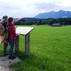 Der Vogellehrpfad in Bad Baiersoyen