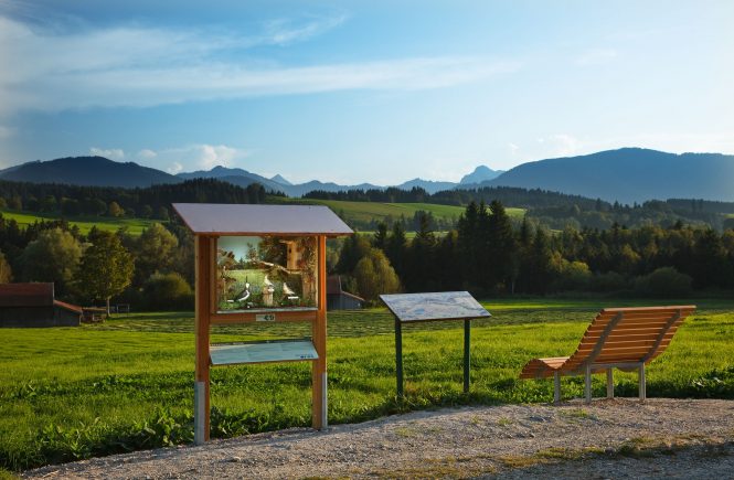 Der Vogellehrpfad in Bad Baiersoyen