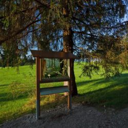 Der Vogellehrpfad in Bad Baiersoyen