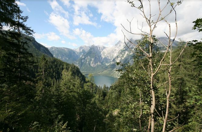 Watzmann, Königsee und Berchtesgadener Land im Blick - der Carl von Linde Weg