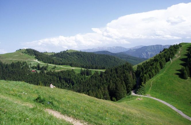 Eine Familienbergtour auf dem Hörnle