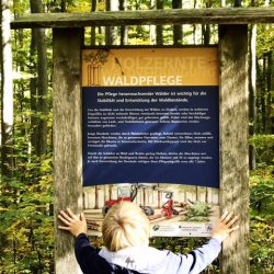 Gemütliche Familienwanderung am Schatzberg