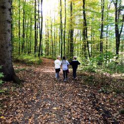 Gemütliche Familienwanderung am Schatzberg