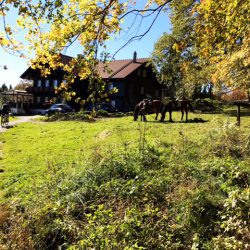 Gemütliche Familienwanderung am Schatzberg