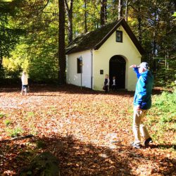 Gemütliche Familienwanderung am Schatzberg