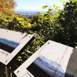 Gemütliche Familienwanderung am Schatzberg