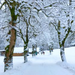 Spektakuläre Winterwanderung durch die Partnachklamm