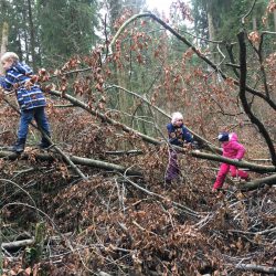 Wanderung durch den seltenen Eibenwald bei Wessobrunn