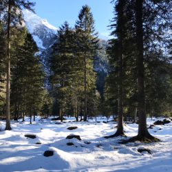 Mit der Kutsche zur Wildfütterung ins Klausbachtal