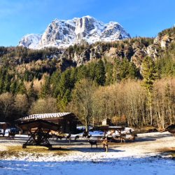 Mit der Kutsche zur Wildfütterung ins Klausbachtal