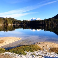 Mit der Kutsche zur Wildfütterung ins Klausbachtal