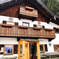 Reiseralm - Rodeln und Wildfütterung