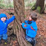 Eine herrliche Wanderung durch den seltenen Eibenwald bei Wessobrunn