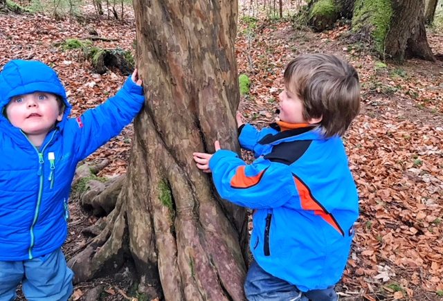 Eine herrliche Wanderung durch den seltenen Eibenwald bei Wessobrunn