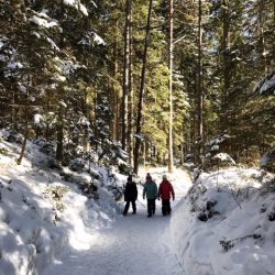 Winterwanderung um den Eibsee