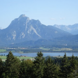 Die Senkelehöhe- eine kleine Bergtour mit grandiosem Bergblick für Familien mit Kleinkindern