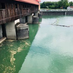 Familienwanderung an der Isar zum Ickinger Stauwehr