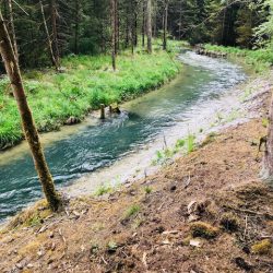 Familienwanderung an der Isar zum Ickinger Stauwehr