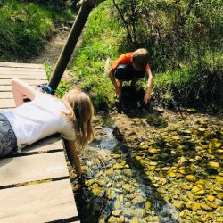 Familienwanderung an der Isar zum Ickinger Stauwehr