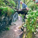 Ein bezaubernder Ausflug zum Zauberwald am Hintersee