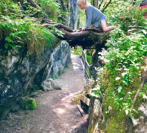 Ein bezaubernder Ausflug zum Zauberwald am Hintersee