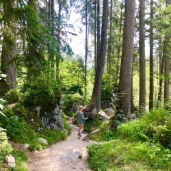 Ein bezaubernder Ausflug zum Zauberwald am Hintersee