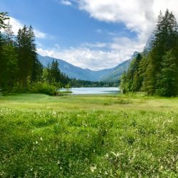 Ein bezaubernder Ausflug zum Zauberwald am Hintersee