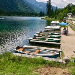 Ein bezaubernder Ausflug zum Zauberwald am Hintersee