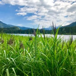 Ein bezaubernder Ausflug zum Zauberwald am Hintersee