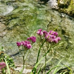 Spektakuläre Wanderung durch die Weißbachschlucht