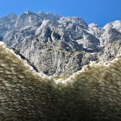 Einzigartige Wanderung zu Deutschlands Eiskapelle