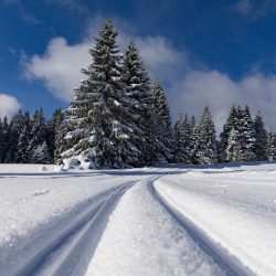 Langlaufen mit der Familie rund um München