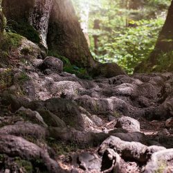 Die Kuhfluchtwasserfälle und der Walderlebnispfad bei Garmisch