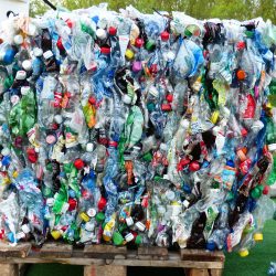 Zero Waste - Plastikmüll adé - Green Life
